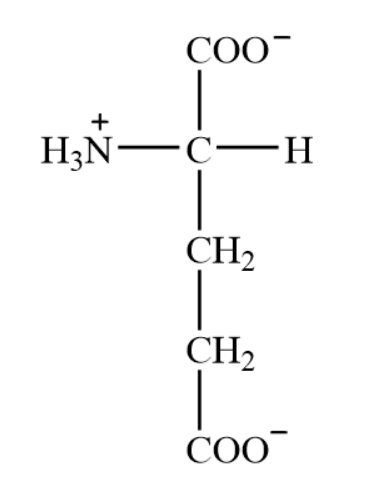 <p>Glutamic acid/glutamate </p>