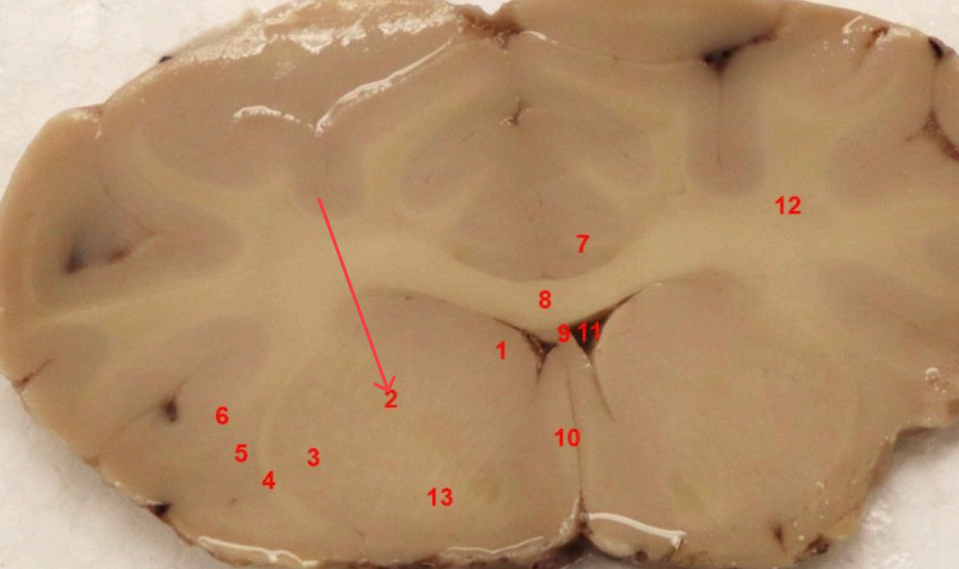 <p>what area is this </p>