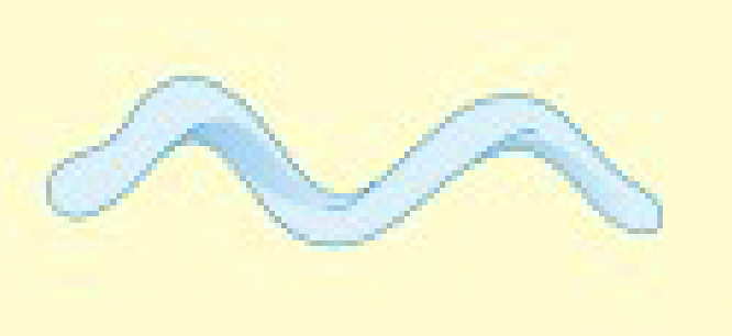 <p>identify shape</p>