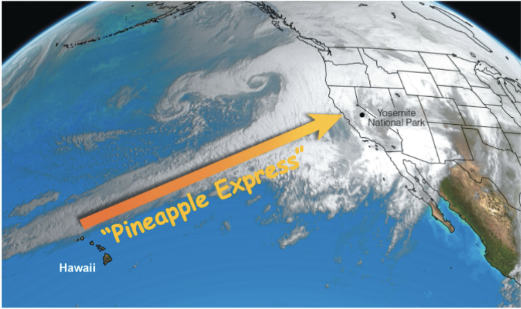 <p>Maritime Tropical (mT) air masses can sometimes cause an atmospheric condition called _________ ________</p>