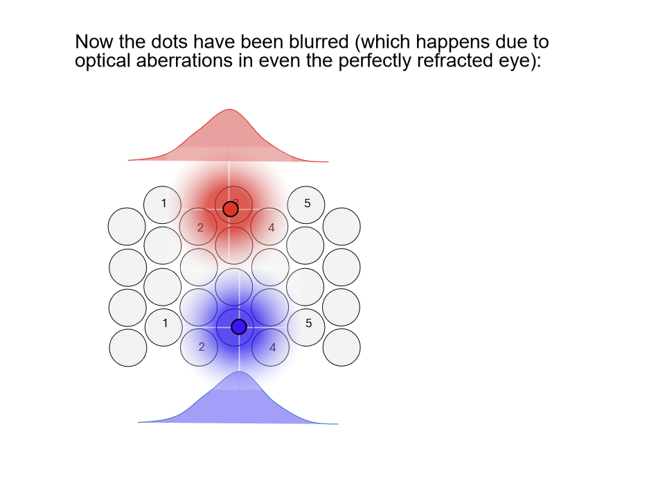 <p>Hyperacuities are possible because neural responses to nearby stimuli overlap.<br>When narrowly tuned detectors (small receptive fields) are activated by multiple stimuli, the visual system can compare relative patterns of activity, allowing extremely precise judgments of position or alignment.</p>