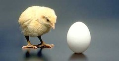 <p>going before</p><p>The hand that plants the SEED is the __________ to the hand that picks the flower.</p>