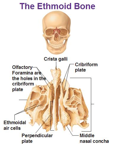 <p>what is this ? </p>