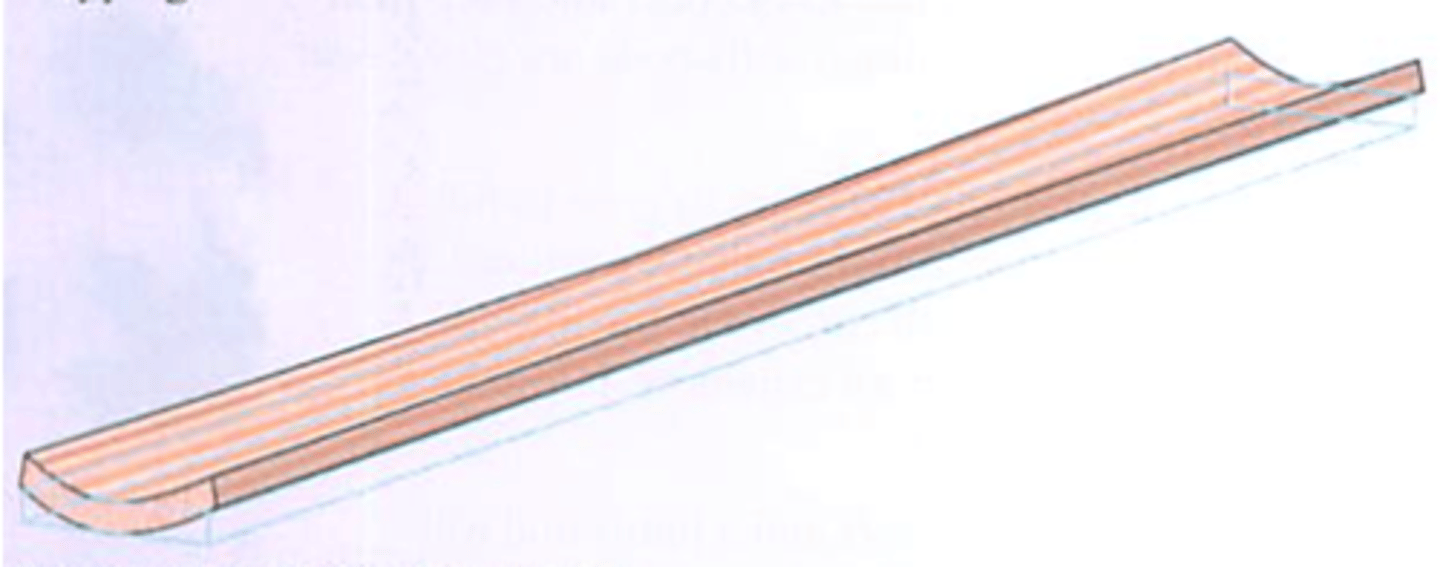 <p>What happens if the grain end rings are all facing the same direction?</p>