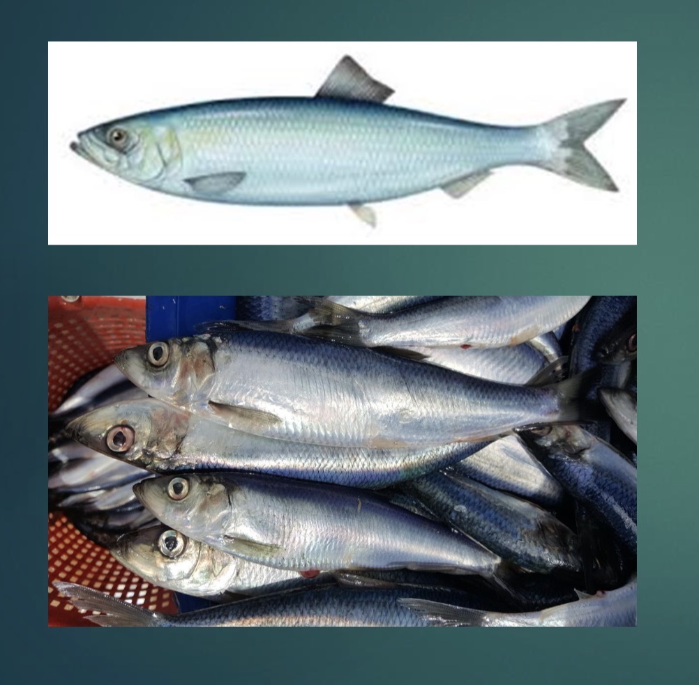 <p></p>