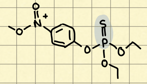 <p>PRODRUG</p>
