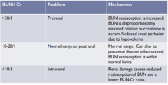 <p>Pre-Renal: >20:1 (BUN increases more than creatinine)</p><p>Intra-Renal: <10:1</p>