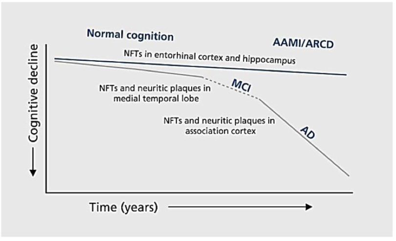 <p>progressive accumulation of brain pathology increases damage and decreases cognitive functions </p>