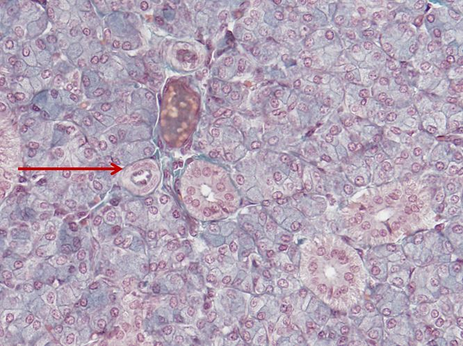 <p>Cấu trúc gì ?</p>