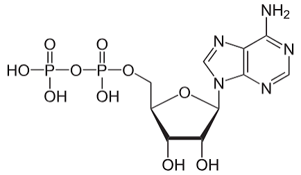 <p>Molecule?</p>