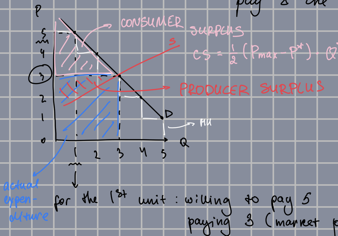 <p>The difference between the amount a consumer is willing to pay and the amount actually paid</p>