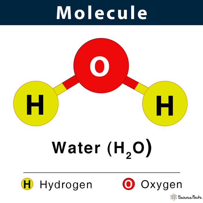 <p>molecule</p>