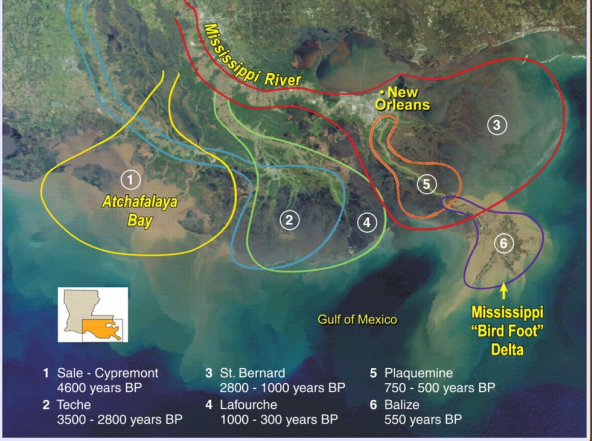 <p>Microtidal regime; wave energy is dissipated before waves reach the coastline. largely controlled by fluvial processes and unidirectional flow. Gentle gradient causes channel instability and avulsion; results in many abandoned lobes that overlap</p>