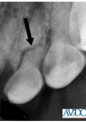 <p>What is this? Name some structures involved</p>