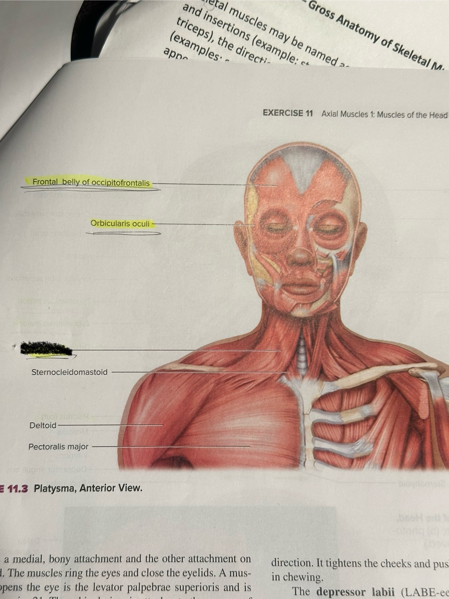 <p>Location crosses out </p>