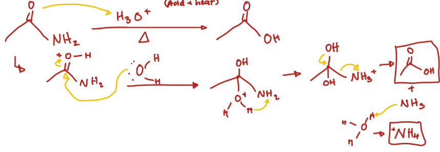 <p>Carboxylic Acid + NH4</p>