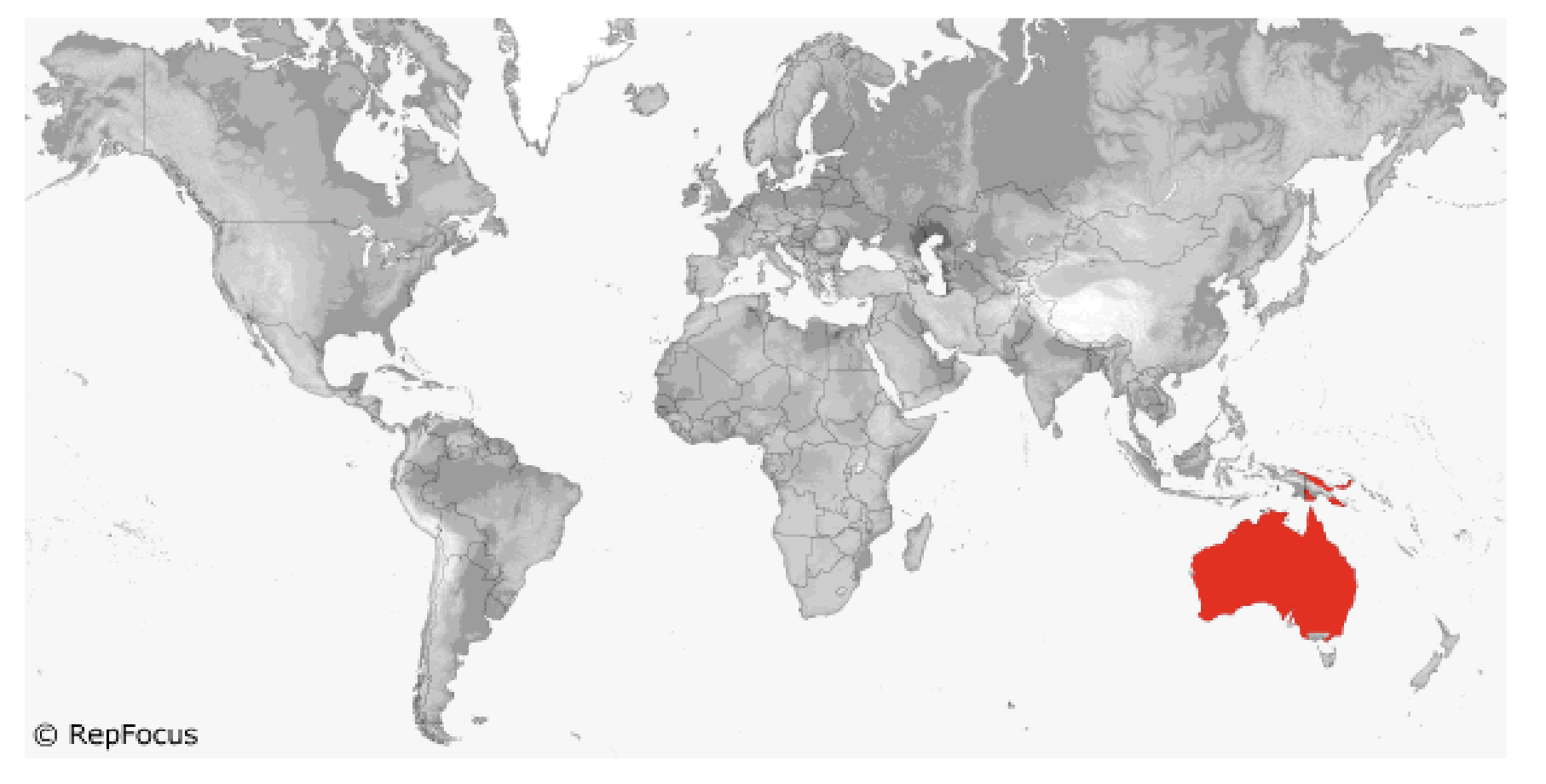 <p><span style="background-color: transparent;">Pygopodidae </span></p>