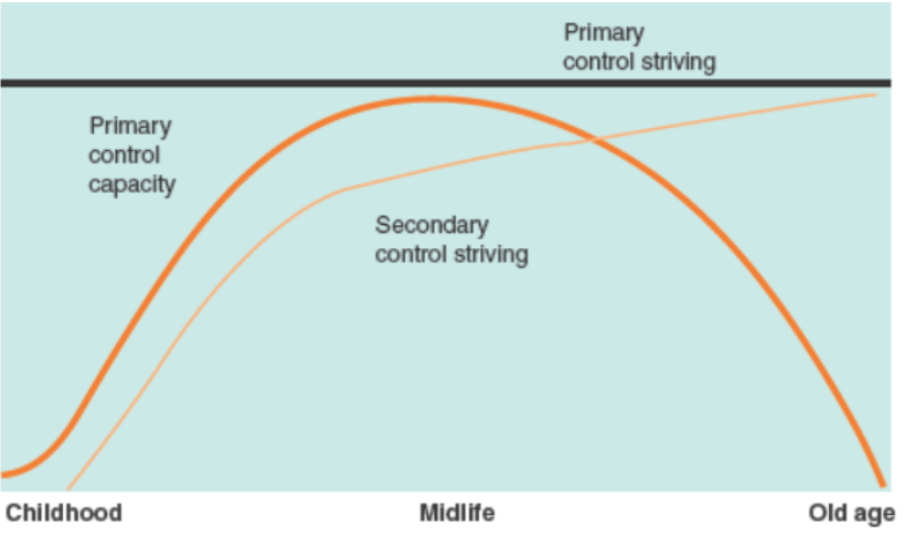 <p>primary control low then high in middle age then low, secondary control inc in middle age and stay high</p>