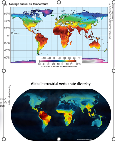 <p>Describe what is happening in these graphs </p>
