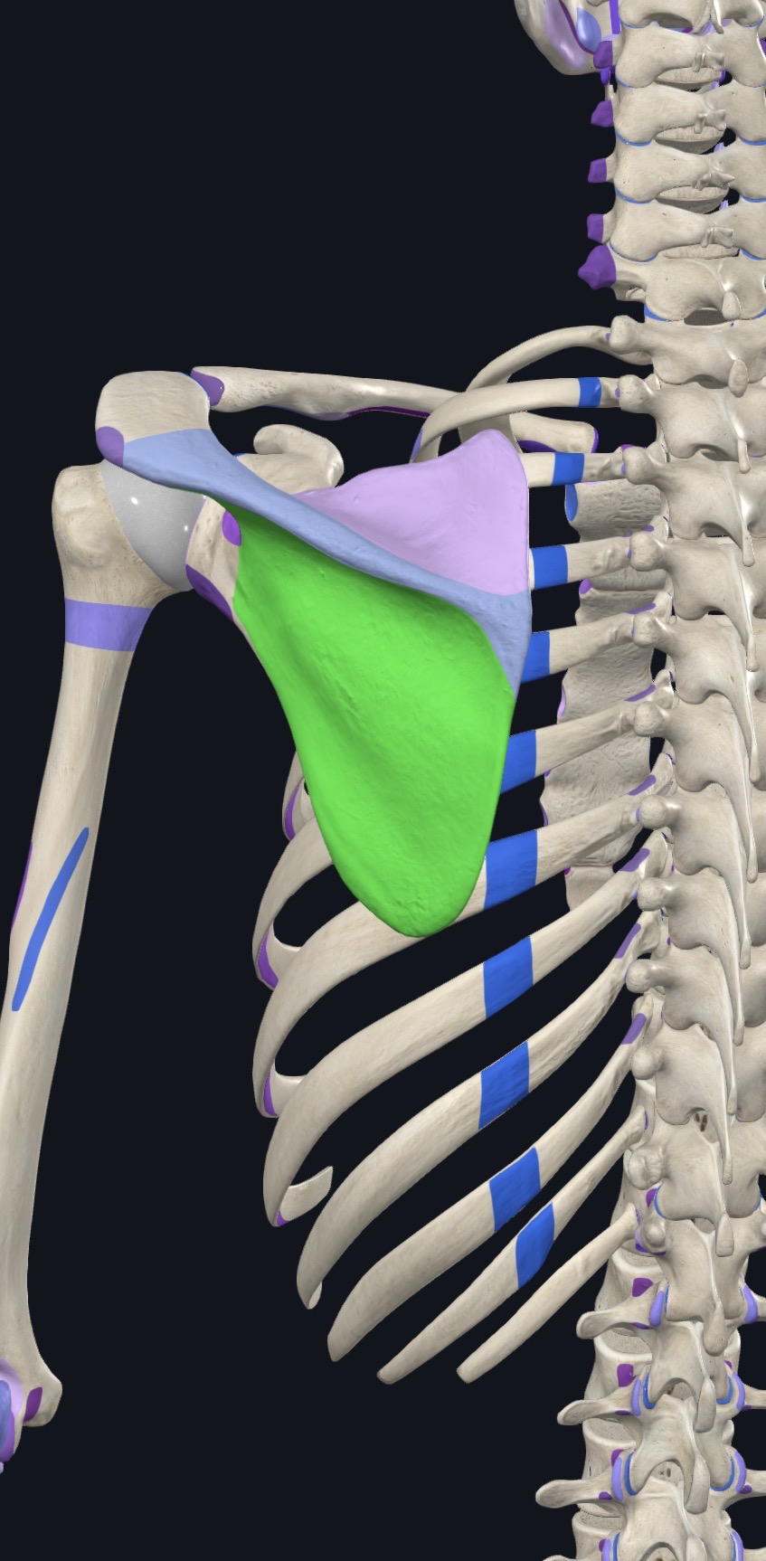 <p>what is this?</p>