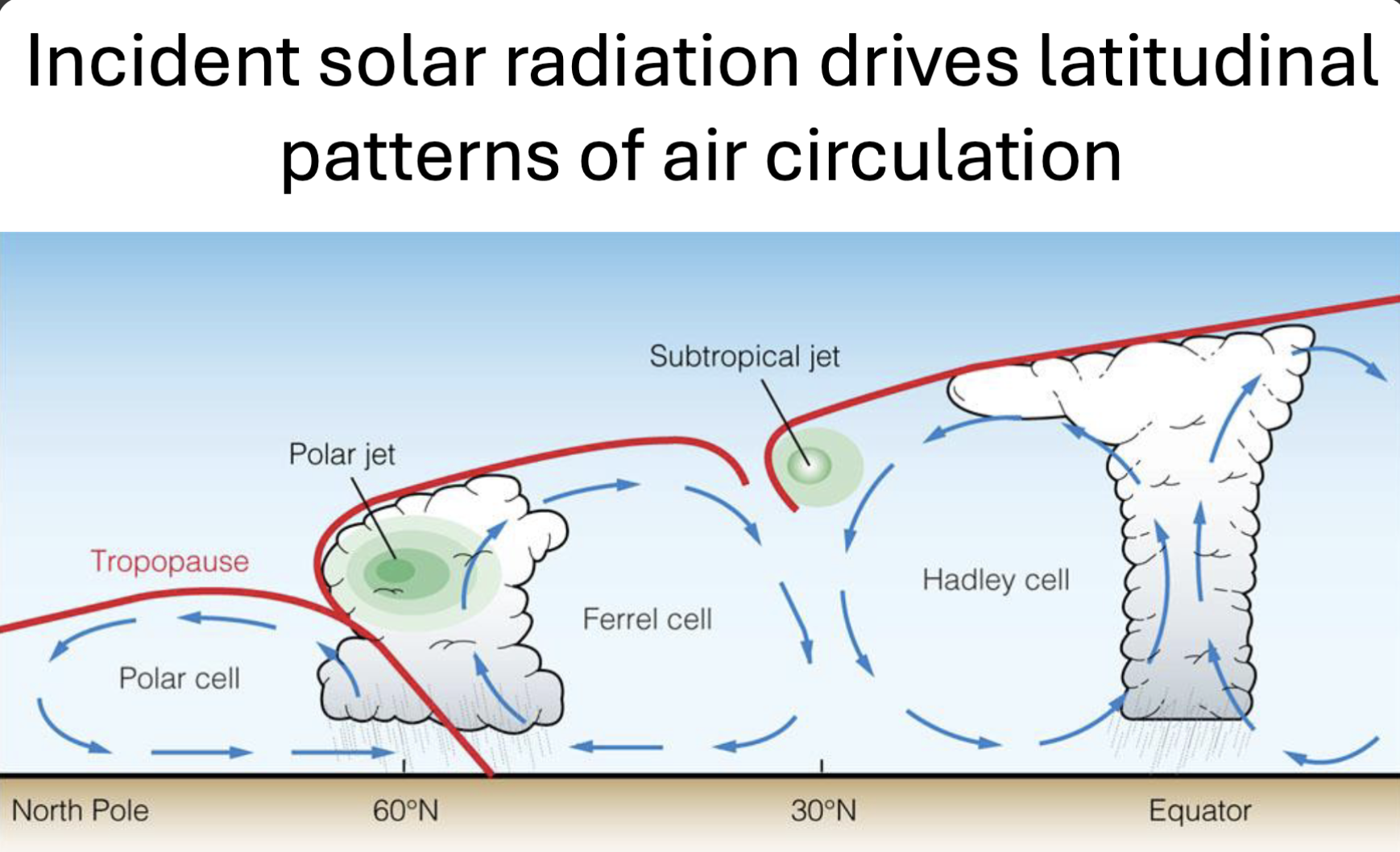 <p>- incident solar radiation (uneven heating from the Sun creates global wind patterns</p><ol><li><p>Hadley Cell (0˚-30˚) equator</p></li></ol><ul><li><p>air heats up &amp; rises → cools &amp; forms rain</p></li><li><p>creating wet tropical rainforests at 0˚ &amp; dry desserts around 30˚ n &amp; s equator</p></li></ul><p></p><ol start="2"><li><p>Ferrel Cell (30˚-60˚) mid-latitudes</p></li></ol><ul><li><p>air flows from 30˚→ 60˚</p></li><li><p>middle circulation driven by other cells</p></li><li><p>creating variable weather; storms &amp; changing conditions</p></li></ul><p></p><ol start="3"><li><p>Polar Cell (60˚-90˚) high latitudes</p></li></ol><ul><li><p>cold air sinks at poles</p></li><li><p>creating cold, dry climates</p></li></ul><p></p><p>Jet Streams (red lines) - fast moving winds found btwn cells</p><p></p>