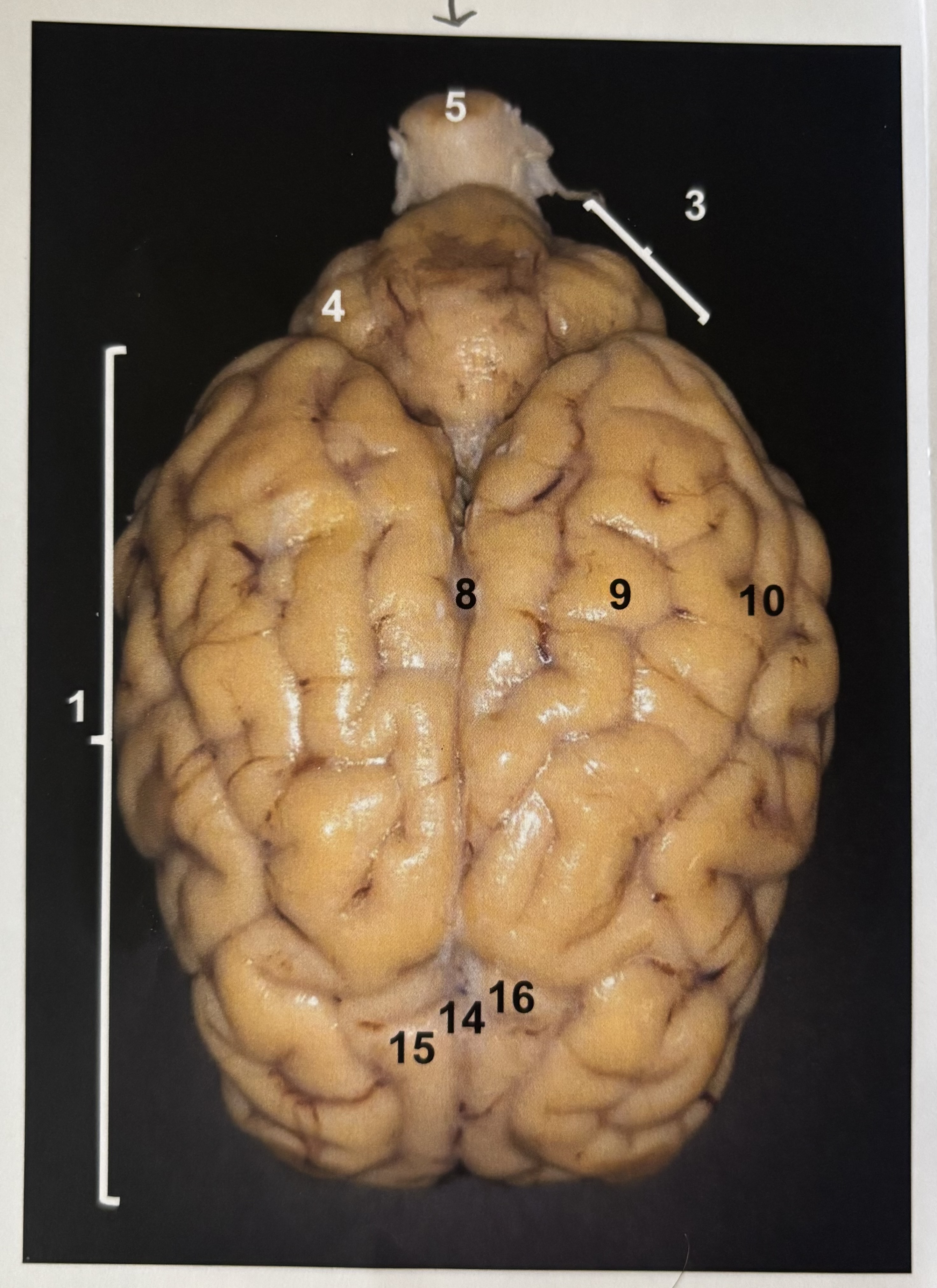 <p>4</p>