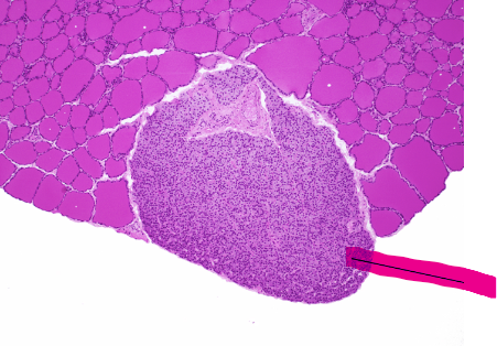 <p>what is this?</p>