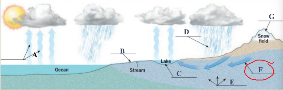<p>Water found underground in the cracks and spaces in soil, sand, and rock</p>