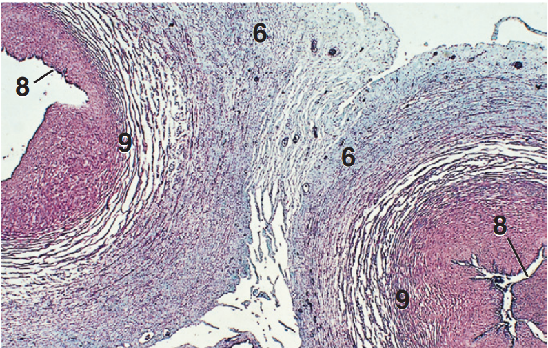 <p>Part and stain?</p>