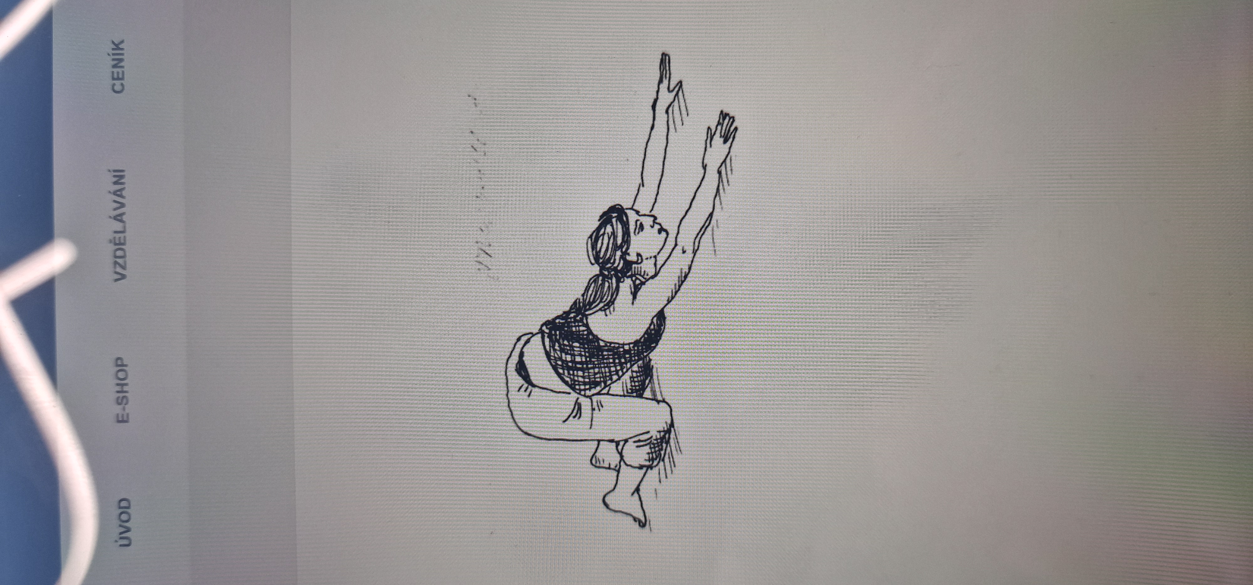 <p>Zlomená květinka </p>