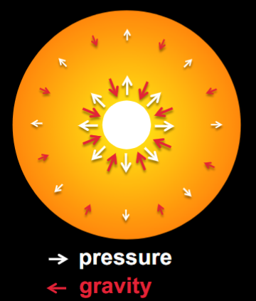 <p>The outward pressure produced by the release of energy from hydrogen fusion in the core exactly balances the inward pull of gravity</p><ul><li><p>Stars remain on main sequence for long time</p></li><li><p>Not expanding or contracting</p></li></ul><p></p>