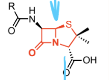 <p>Box with N attached to five member S ring</p><p>Penicillin (PBP inhibitor, gram POSITIVE)</p>