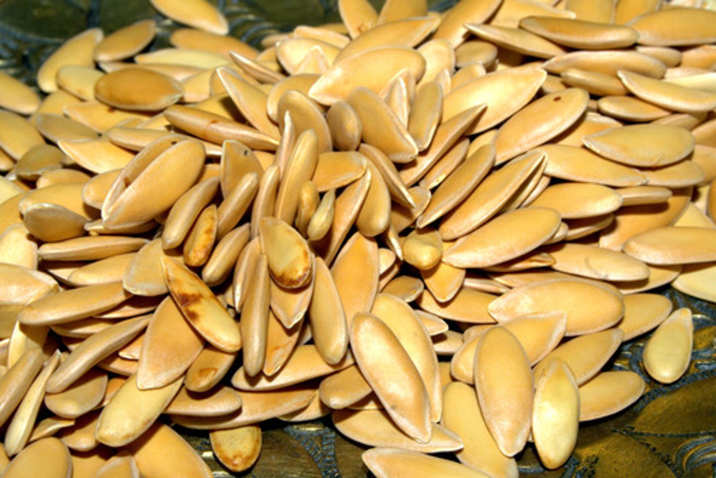 <p>seeds</p>