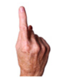 <p>palm facing me hold up pointer finger</p>