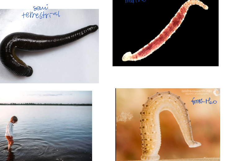 <p>what are those?</p>
