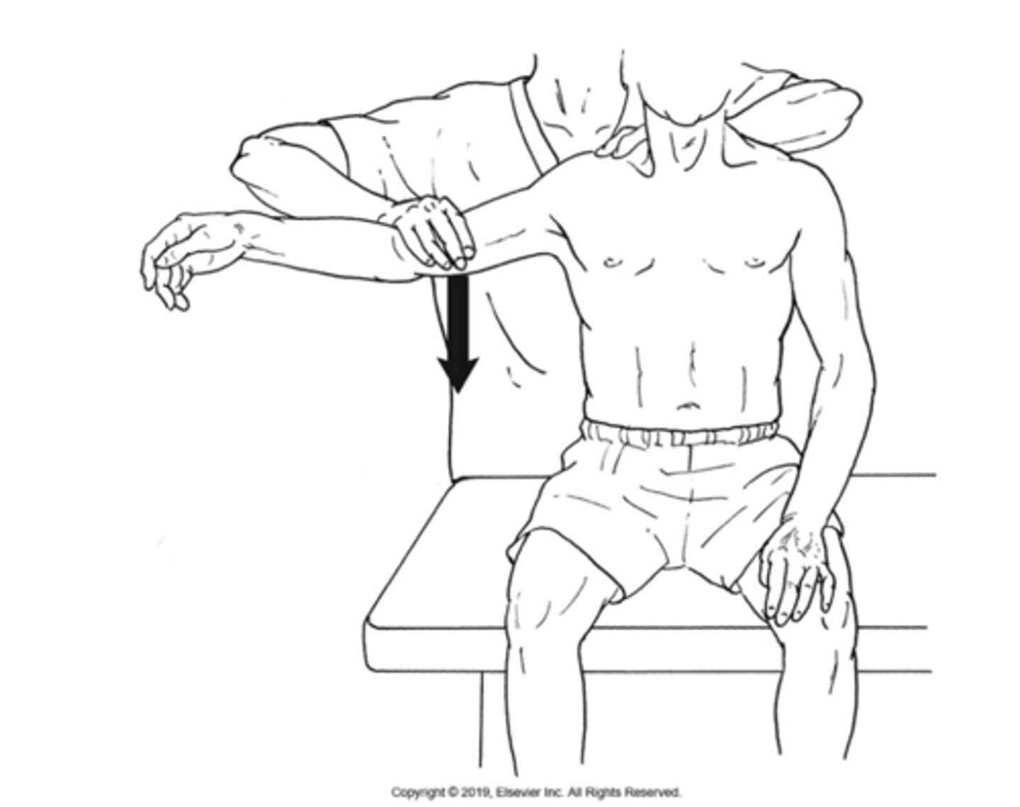<p>Middle fibers of deltoid; supraspinatus</p>