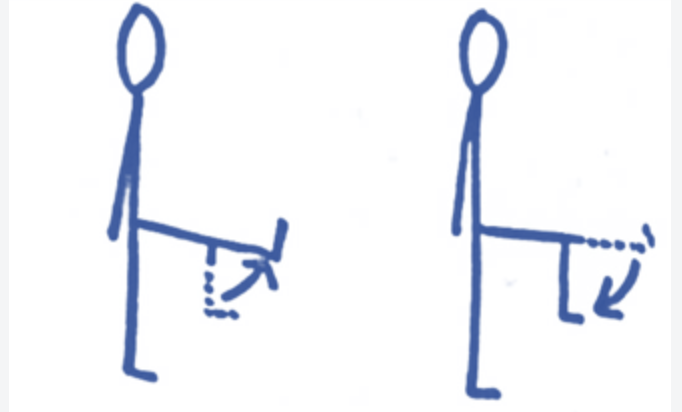 <p>Actions of the knee</p>