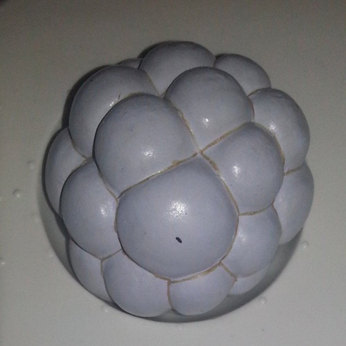 <p>Solid ball of ~16-32 cells formed by cleavage of the zygote.</p>