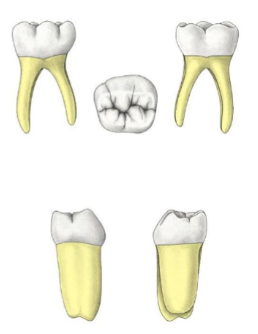 <p>?</p>