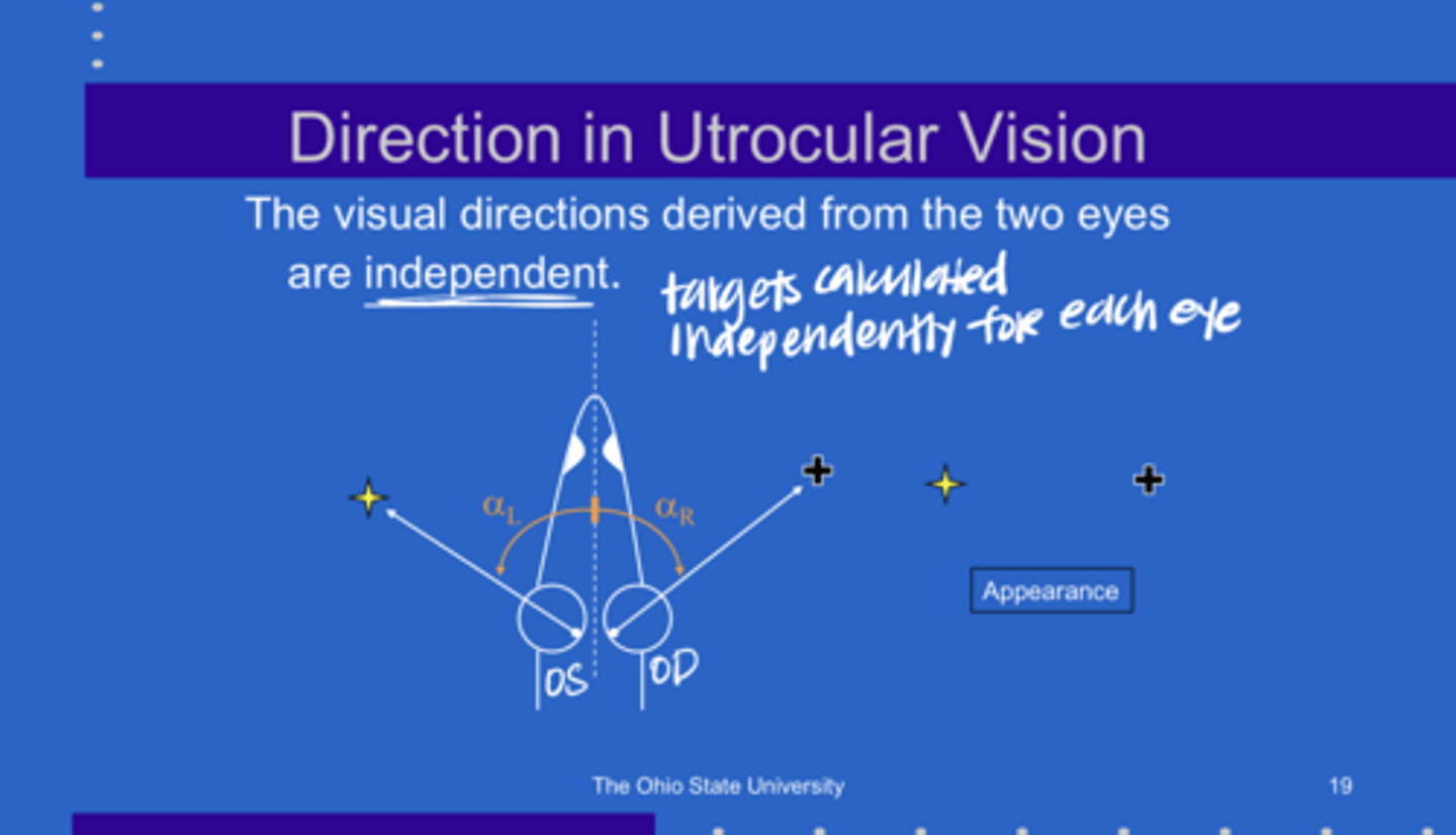 <p>With utrocular vision, the visual directions derived from the 2 eyes are _______</p>