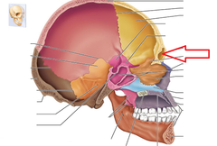 <p>Identify this part.</p>