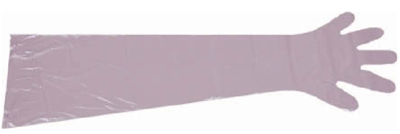 <p>Used during palpation of an animal</p><ul><li><p>In cattle, this is generally for reproductive purposes (AI, pregnancy check)</p></li></ul><p></p>