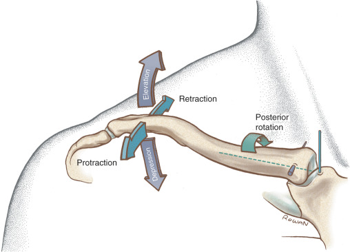 <p>All 3 cardinal planes! </p><ul><li><p>Frontal (coronal)</p></li><li><p>Sagittal</p></li><li><p>Transverse </p></li></ul><p></p>