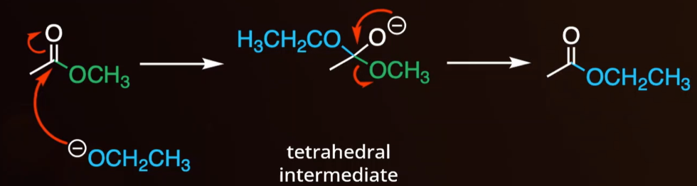 <p><span style="background-color: transparent;">Converts one ester to another.</span></p>