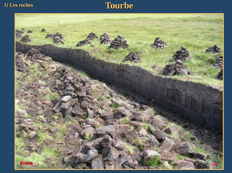 <p>La tourbe est une accumulation de matière végétale dans des milieux humides et pauvres en oxygène (tourbières). Les sphaignes y retiennent l’eau et empêchent la décomposition. Avec le temps et la pression, cette matière se transforme progressivement en lignite puis en houille (charbon). Ce processus peut durer des millions d’années.</p><p>Les tourbières sont des milieux très humides, acides et pauvres en oxygène. Ces conditions empêchent la décomposition de la matière organique, qui s’accumule sous forme de tourbe. Elles jouent un rôle écologique important et constituent aussi une étape clé dans la formation du charbon.</p>