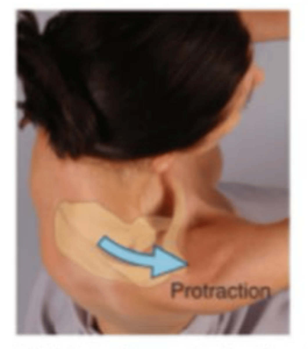 <p>moving scapula on thoracic wall forward</p>