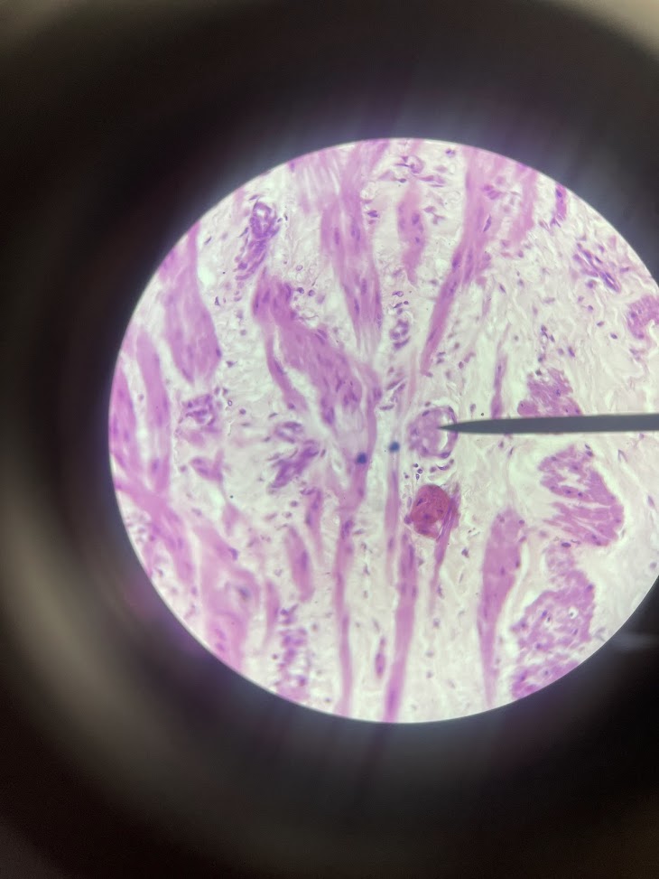 <p>structure name + layer name</p>