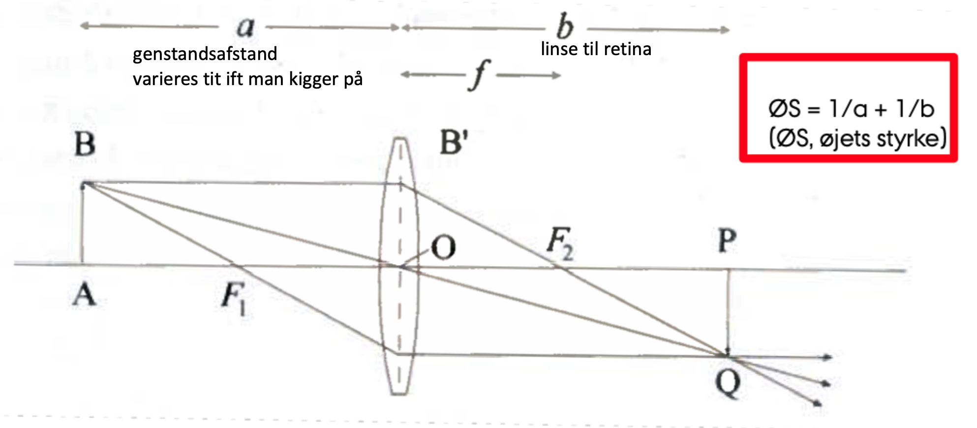 <p><strong>Genstandsafstanden</strong>, altså afstanden fra objekt til øjets linseapparat.</p>