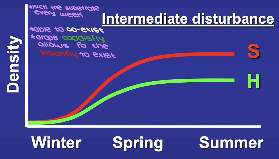 <p><em>Hydropsyche</em> and <em>Simulium </em>are <span style="background-color: transparent;">able to co-exist through summer</span></p>