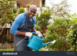 <p>The man is watering the plants.</p>